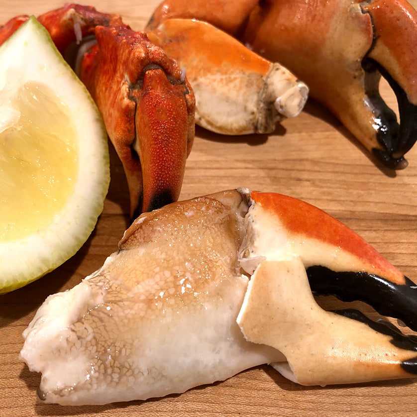 Medium Stone Crabs