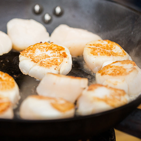 Sea Scallops (1lb frozen)