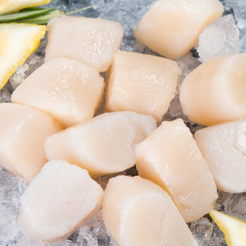 Sea Scallops (1lb frozen)