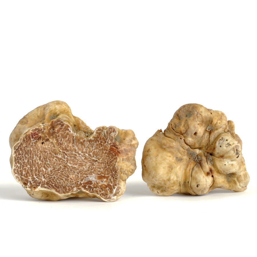 White Italian Truffles (Tuber Magnatum Pico)