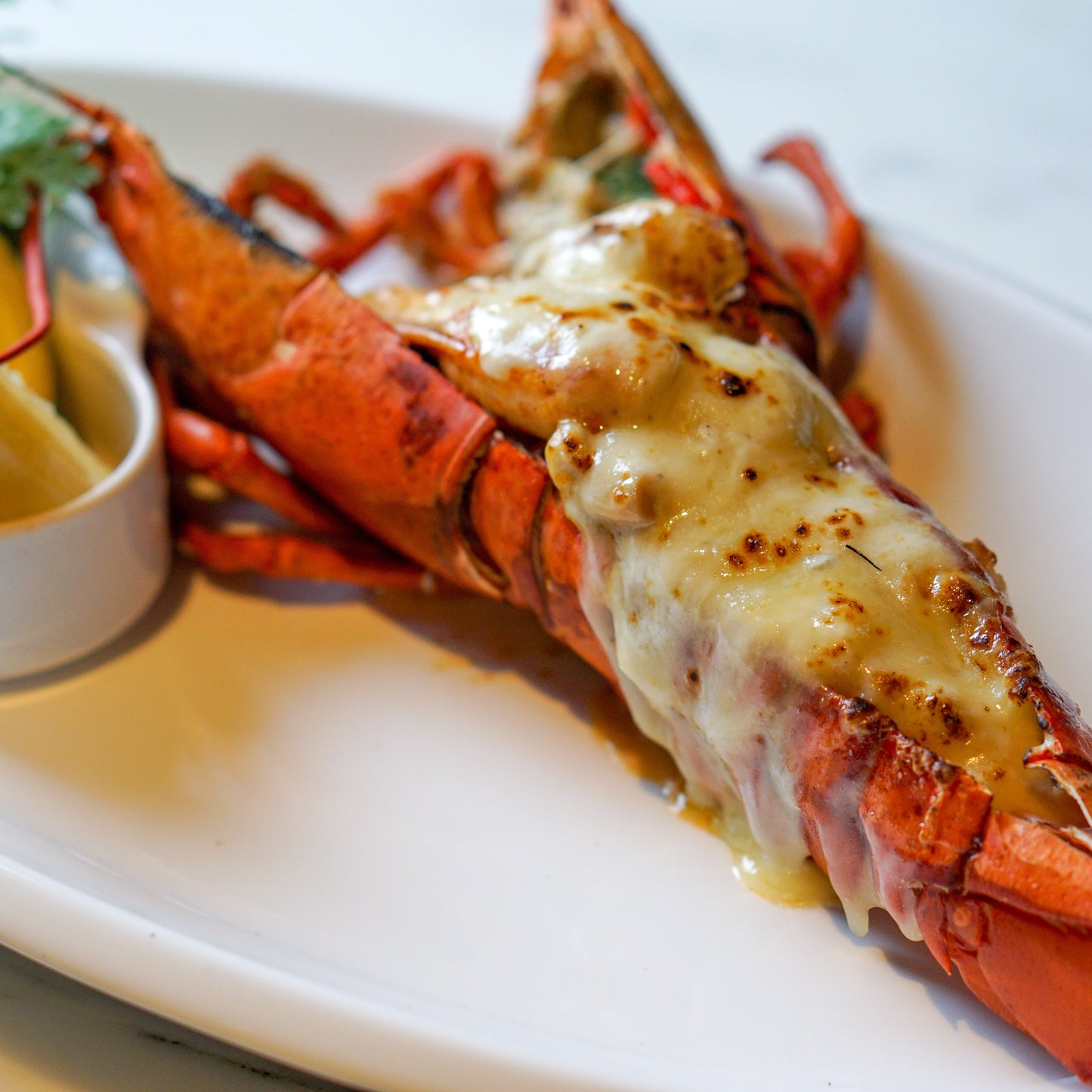 Lobster Thermidor - Pre-Cooked