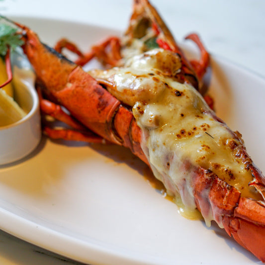 Lobster Thermidor - Pre-Cooked
