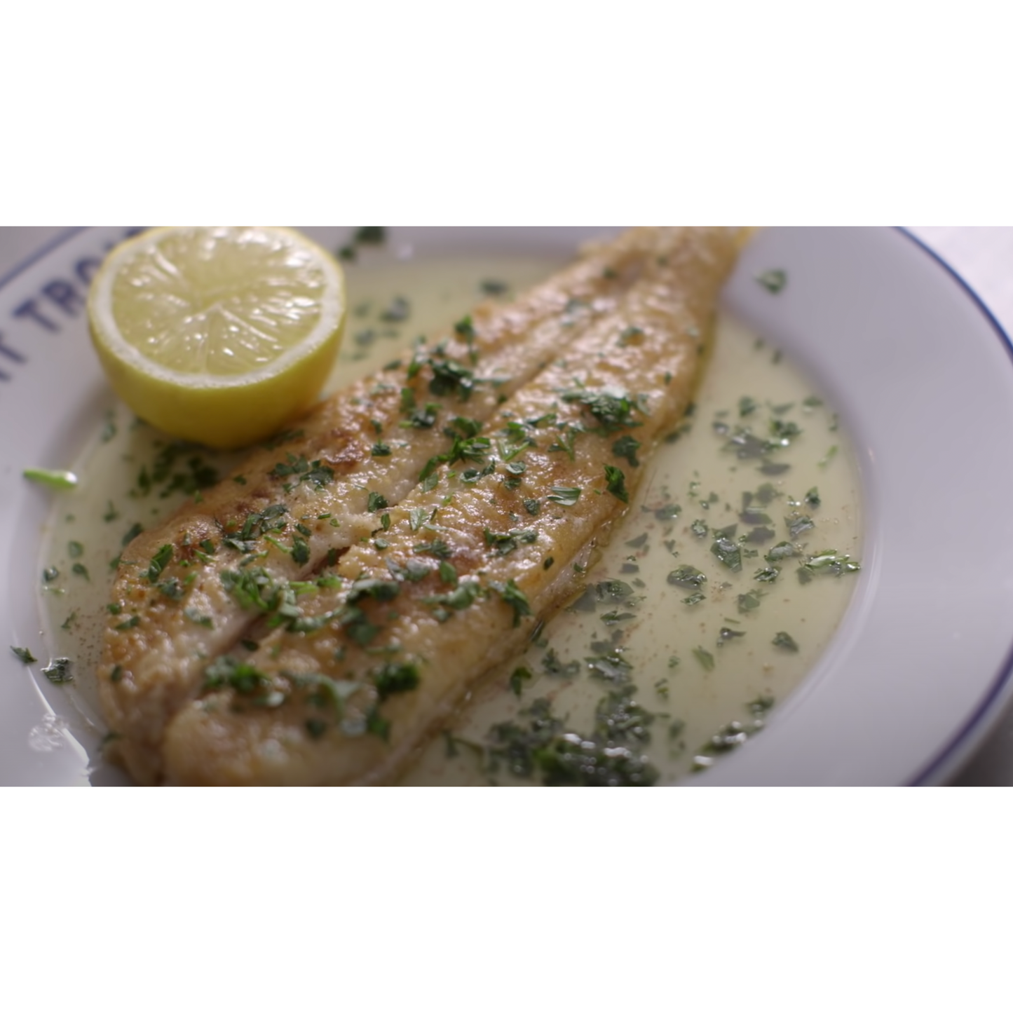Wild Dover Sole
