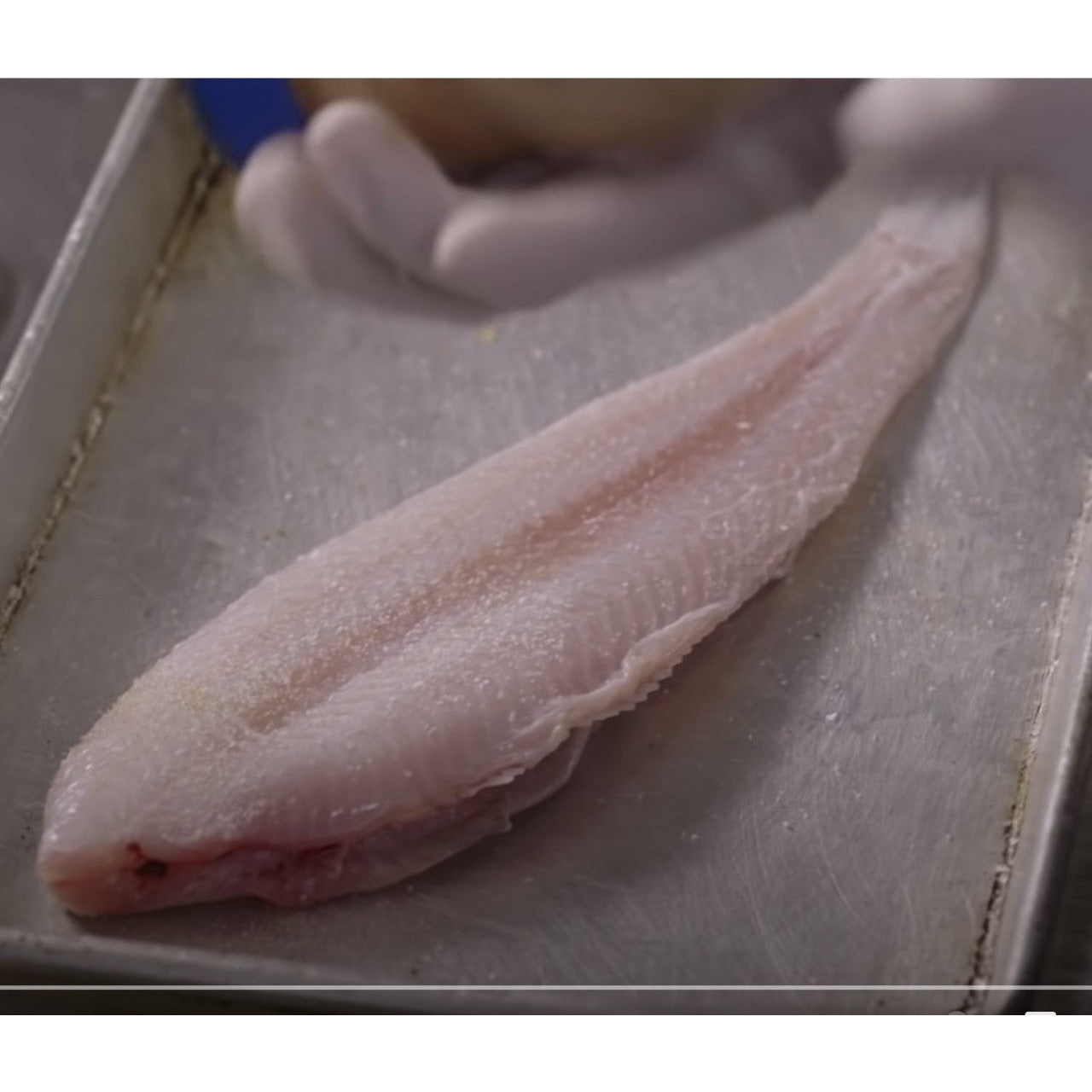 Wild Dover Sole