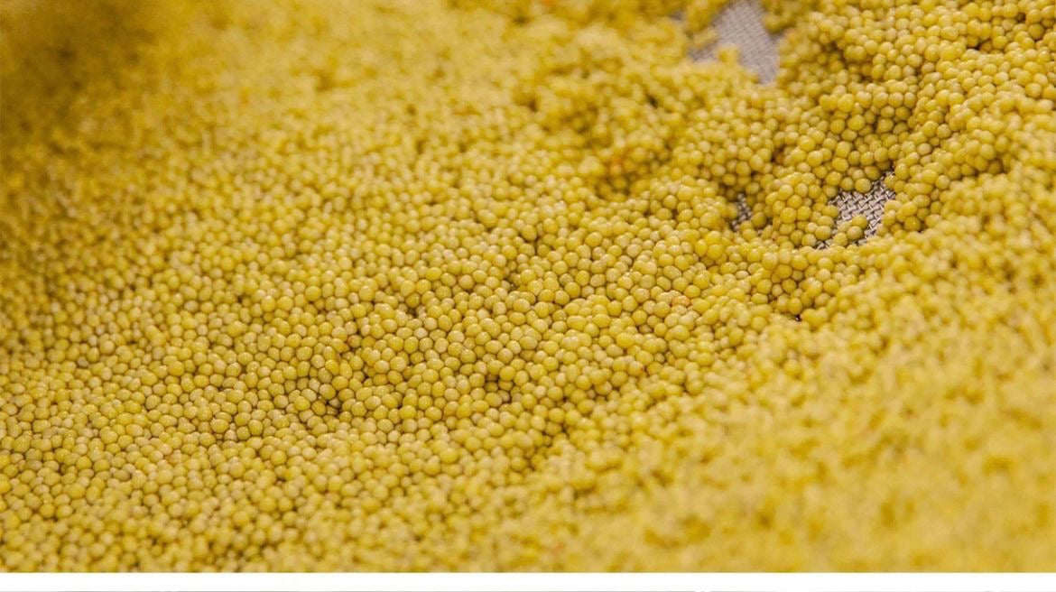 Golden Albino Caviar